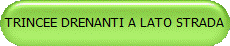 TRINCEE DRENANTI A LATO STRADA